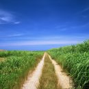 자연 NATURE 이미지