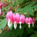 둘레길펜션 이미지