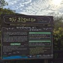 성수행정사사무소 이미지