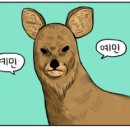 낙성곱창 이미지