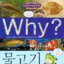 원리과학 WHY 이미지