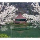 시골가든 이미지