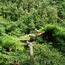 기찬농장 2 이미지