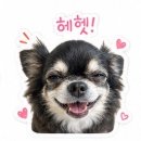 정가네돈곱창 네이버블로그
