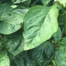 동정농장 이미지