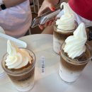 유신목장 | 제주도 1주차