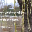 김상태코칭연구소