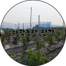하랑농장 이미지
