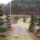 여주-0741 이미지