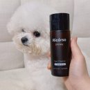강아지 눈세정제 바꿔봤어요, 눈물 냄새 때문에 써본 리꼬르소 스노이 아이클리너 후기