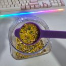 파파 펫 푸드 이미지