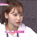 채원 이미지