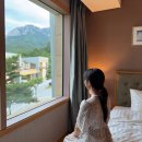 소노펠리체 빌리지 델피노 | 속초여행 고성 소노펠리체 빌리지 델피노 C동 숙소 후기