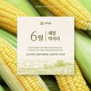 짱짱농원