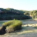 별빛품은 바다 이미지