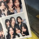 개발새발 이미지