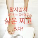 옐로우점핑 이미지