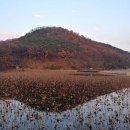 운암지 수변공원 이미지