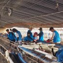 (주)다날 이미지