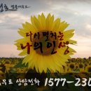 최성호법무사 이미지