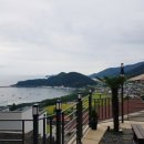 남해블라썸
