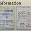 24시 올리몰스 동물메디컬센터 | [전주동물병원] 전주 올리몰스동물메디컬센터 강아지 건강검진 받고 왔어요