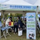 서구 이미지
