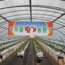 으뜸건강원 - 전주시 완산구 어은로 22 | 으뜸건강원
