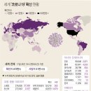 화산석유 이미지