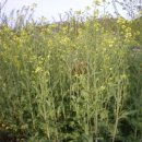 동혜농장 이미지