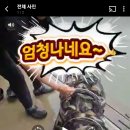 백지리낚시터 이미지