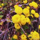 무수농장 이미지