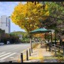 성서중학교 정문 이미지