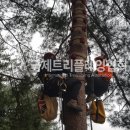 남양주 트리클라이밍 & 몽키클라이밍 고정형 공사 이미지