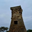 길따라꽃따라 | 경주 < 월성해자, 첨성대 > 방문 후기 - 꽃길 따라 걷는 경주 산책 코스