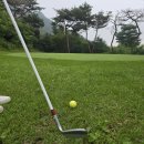 대청밸리 옥천C.C | 양주 가성비골프장 루이힐스cc 파3 18홀 가능한 골프장 모음