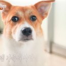 김금자 농장 네이버블로그