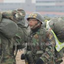충성 이미지