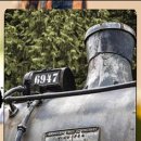 반려동물 관리사 이미지