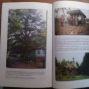 아나스타시아 이미지