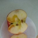 병규농장 이미지