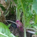 인순농장 이미지