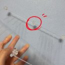 내돈내산 온케이지 아크릴케이지 사용후기 및 장단점 정리