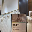 유림디자인기획 | 👰🏻‍♀️ 요즘웨딩 드레스랜드 웨딩박람회 솔직후기 (추천인:돼람쥐, 6만원 할인)