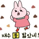 슬원수 이미지