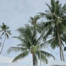 일식농장 이미지