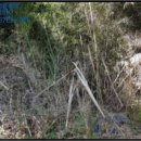 오평경로당 이미지