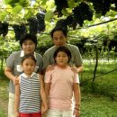 영광포도원 이미지