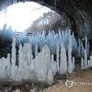 역고드름 이미지