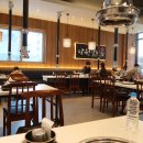 로마성인 관광나이트 이미지